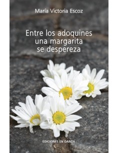 378.Entre los adoquines una margarita se despereza